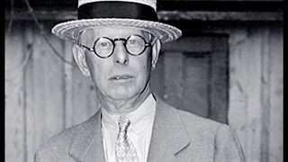 خرس وال استریت | او ام پی فینکس