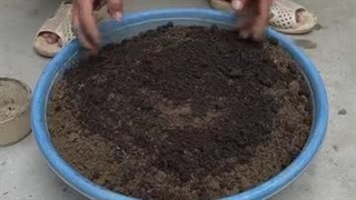 ویدیوی آموزش کاشت خیار