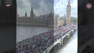 نماهنگ بی‌کلام خروش ملت‌ها برای فلسطین آزاد