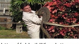 QD Wildlife Solutions