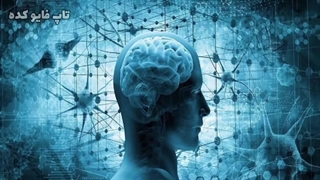 قدرت مغز انسان : باورهای غلط انداز مغز که به خورد مردم دادند!!
