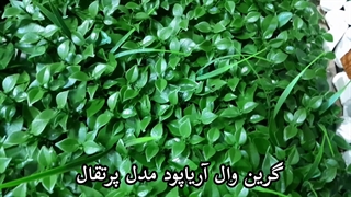 خرید انواع گرین وال در آریاپود