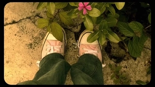 "Ｔｒｕｅ ｈａｐｐｉｎｅｓｓ" کپشن:>"