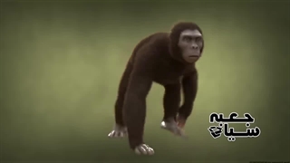 مردم این روستای عجیب فقط بصورت چهار دست و پا راه می روند