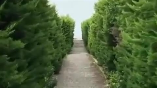 ساحل شمال