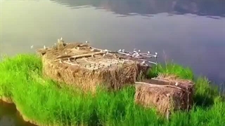 پایاسفر همراه همیشگی سفرهای شما در نوروز 1403