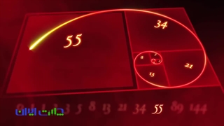 دنباله اعداد فیبوناچی و کاربرد آن در بازارهای مالی