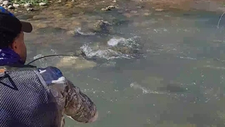 ماهیگیری در رودخانه در تور ماهی گیری گروه کولی (صید قزل آلا)، لوازم ماهیگیری کولی