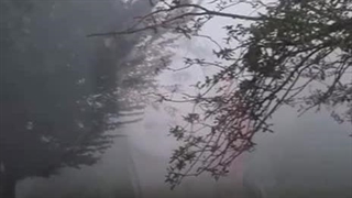 زنده یاد بانو آفرین بختیاری ـ بازخوانی آهنگ بَلیط (درخت بلوط)  آهنگ بختیاری