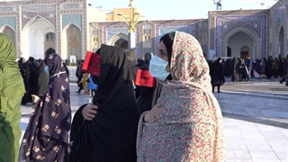 جلوه‌ای از تحقق یک آرزو / در سایه‌ی مهربانی این شاه، می‌شود پادشاهی کرد