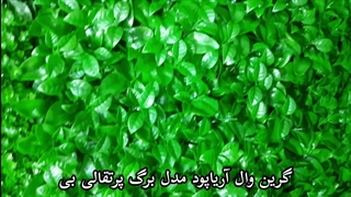 مناسب ترین گرین وال مدل برگ پرتقالی بی