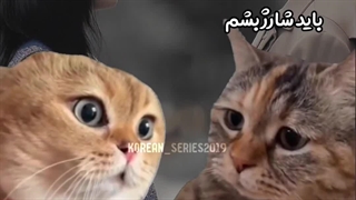 ورژن گربه ای شیطان من 