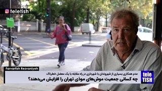 افشای حقایق پنهان درباره موشهای موذی تهران