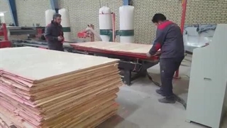 خط برش تخته چند لایی صنایع بازرگانی آسیا پاندا چوب