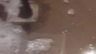 لوله بازکنی زنجان