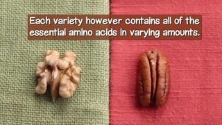 تفاوت گردو و پکان (خواص و تفاوت ها و شباهت ها)