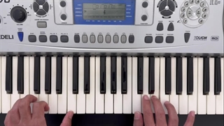 اجرای هفت دستگاه موسیقی باساده ترین ارگ دنیا/ کاوه سلطانی