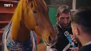 سریال عشقی در میان است قسمت هفتم با زیرنویس فارسی در کانال تلگرام ما/لینک کانال توضیحات