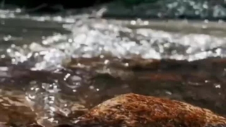 آهنگ بانوی باران محمدرضا منصوری