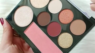 پالت چندکاره پودری نیکس NYX