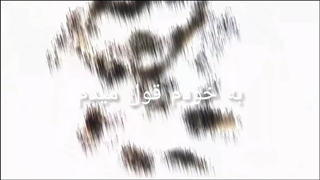 امتحان ( آنیا فورجر ) ♡