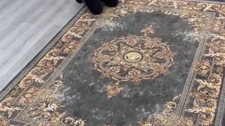 فرش ورساچه مشکی طلایی 1200 شانه با بافتی نرم و لطیف در فروشگاه اینترنتی صفافرش