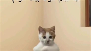 مراحل فیلم دیدن من