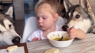 بچه‌ها و سگ