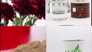 رنگ سرخ کلات آهن مایا #کود_کشاورزی