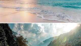 ?Would you rather live in the mountains or by the beach