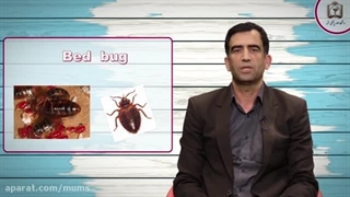 نقش فناوری‌های نوین در توسعه دستگاه‌های حذف ساس