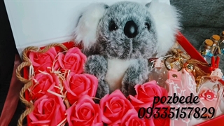 پک کادویی با عروسک پولیشی کوآلا