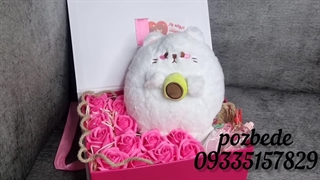 پک کادویی با عروسک گربه آووکادو به دست