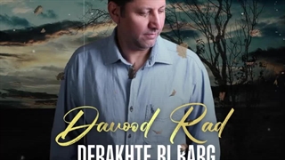 دانلود آهنگ جدید داود راد به نام درخت بی برگ