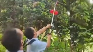 فروش الحاقی اره سرشاخه زن علفزن- کشاورز صنعت