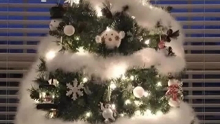 اگه اعضای انهایپن بخوان درخت کریسمس درست کنن:)))))