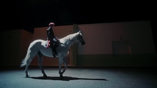 DXMON - Zip Zip Zip M/V