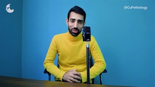 تاوان روایت حقیقت