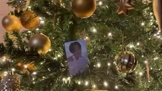 درخت های کریسمس انهایپن هم اومد ..........