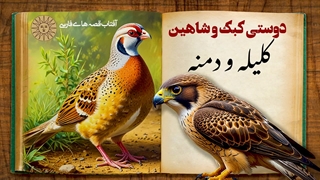 حکایت آموزنده دوستی کبک و شاهین داستانی از کلیله و دمنه | داستانی جذاب و پند آموز درباره عاقبت طمع