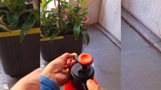 عملکرد سمپاش دستی - کشاورز صنعت