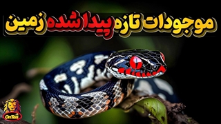 دنیای ناشناخته ما و حیواناتی که بتازگی روی زمین پیدا شدند