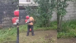 زدن علف با علفتراش - کشاورز صنعت