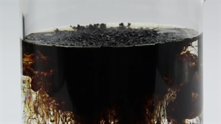 اولین هیومیک اسید پرک 80 درصد #کود_کشاورزی