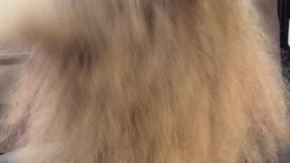 درمان مو در مشهد