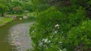 کوه مانشت کجاست؟