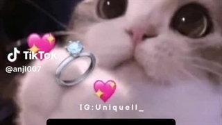 ننه ننه ننه