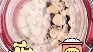 چرا گزش ساس گاهی بدون درد است؟