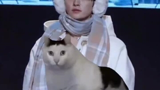 شباهتتتتتتت