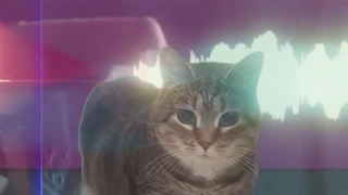 ᴳᴼᴿᴮᴬ⁺ᵈⁱᵉ ʷⁱᵗʰ ˢᵐⁱˡᵉ